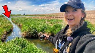 What lives in this TINY Hidden Farm Pond?? (COUPLES FISHING CHALLENGE!!)