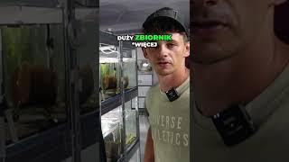Stabilizacja w krewetkarium  #aqualife #krewetki #akwarium