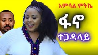 ሀገር ያደበለከው የፋኖ ሙዚቃ - ፋኖ ተጋዳላይ - Amsal Mitike | አምሳል ምትኬ - New Ethiopian Music 2025