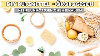 DIY - Putzmittel selbst herstellen OHNE CHEMIE & unmengen an Geld sparen I Alenas Momlife