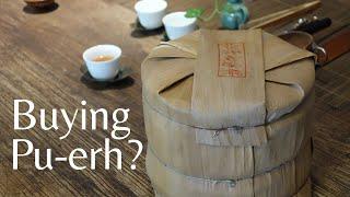 TIPS on BUYING PU-ERH Tea (How to Buy for Aging)