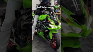Shiny kawasaki ZX6R cold start / idle sound