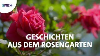 Faszinierende Welt der Rosen | SWR Doku