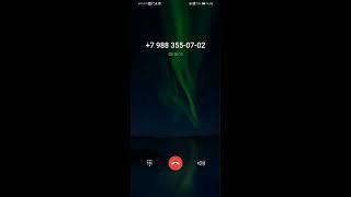 Honor 8X 4/64GB Incoming call (Screen video)