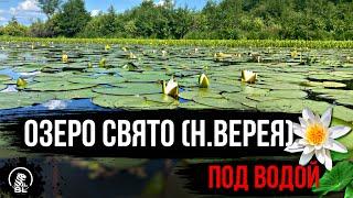 ОЗЕРО СВЯТО // НИЖНЯЯ ВЕРИЯ // ВЫКСА