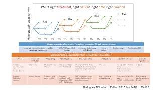 WB-MRI - role in high precision medicine for bone metastases