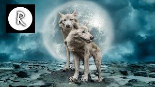 Native American Indian Music | Power Animals & Native Nights | Shaman soft sleep music | Niall