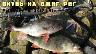 Крупный Окунь в Октябре на Джиг Риг, рыбалка на спиннинг с берега на Волге в Тольятти