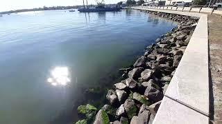 Tour Of Jensen Beach Causeway For Van Dwellers