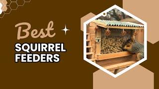 Best Squirrel Feeders | Tested by Jungle Flicks