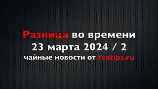 Антон Дмитращук об истоках чаочжоуского гунфуча, нюхнуть чая в баре и чайная подписки от «Нитки»