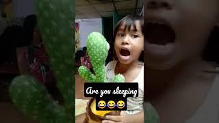 my cactus #shorts #viralshorts #youtubeshorts