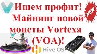 Ищем профит! Майнинг новой монеты Vortexa (VOA)! Доходность!