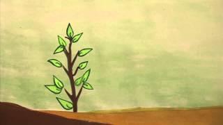 SAVE TREE ANIMATED STORY