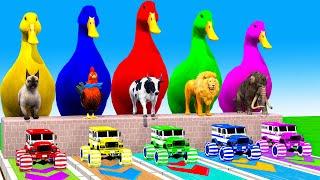 5 Giant Duck Cartoon, Cow,Elephant,Tiger,Cat,Lion, Paint Wild Animals Crossing Fountain Animation