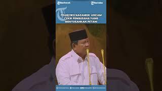 Prabowo Nagamuk  Ancam Cekik Pengusaha Yang Menyusahkan  Petani  #tribunambon #tribunnews