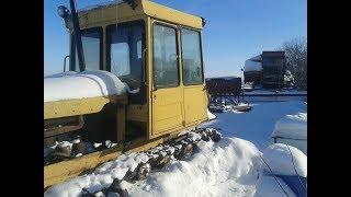 Подготовка к посевной. Проверка семян льна.