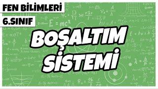 6. Sınıf Fen Bilimleri - Boşaltım Sistemi | 2022