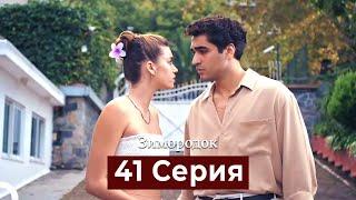 Зимородок 41 Cерия (Русский дубляж)