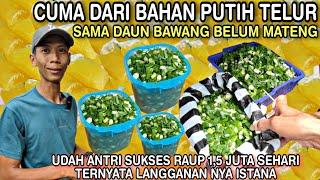 CUMA DARI BAHAN PUTIH TELUR || SAMA DAUN BAWANG SUKSES BISNIS Ini RAUP 1,5 JUTA SEHARI USAHA KREATIF