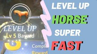 Black Desert Mobile Horse Level Up 2020 (Fast!)