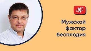 Мужской фактор бесплодия