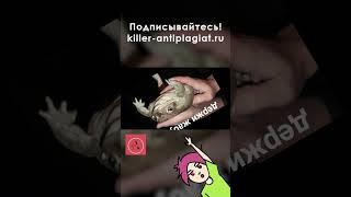 Где брать информацию для написания курсовой работы – 3 лучших метода