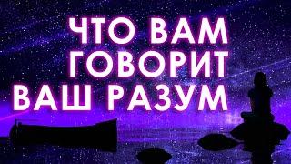 Что вам говорит ваш разум? Без внутренней гармонии невозможна гармония во внешнем мире...