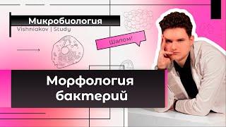 Микробиология | МОРФОЛОГИЯ БАКТЕРИЙ