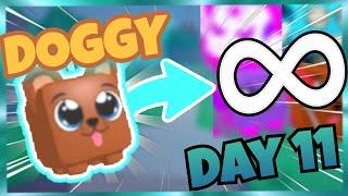 Doggy To Infinity#1 DDG (Day 11) | Pet Catchers