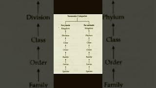 Taxonomical  Hierarchy#neetbiology#neetbiologynotes#biology#science#taxonomy#neet#classification