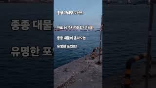 구독하고 낚시포인트 공유받기️ #통영낚시 #통영낚시포인트 #통영원투낚시 #원투낚시 #거제도낚시 #거제도낚시포인트