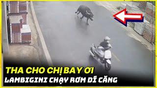 Lộn Ruột Với Những Pha Giao Thông Do Camera Ghi Lại