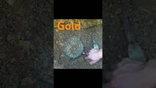 #metaldetecting #golddiscovery #goldhunter #golddeck#realtreasurehunt #goldmetaldetectors  #foryou