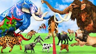 3 Giant Elephant Cow Buffalo vs 3 Zombie Lion Tiger Bull Attack Baby Elephant Zebra Saved By Mammoth