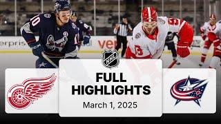 Red Wings vs. Blue Jackets | 2025 Stadium Series Highlights | March 1, 2025