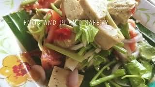 Plant and Food safety