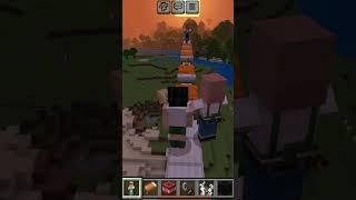 Village harassment‍↔️#minecraft #villagelife #villager