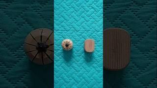 Cajitas de madera con insectos  #90s #2000s #retro