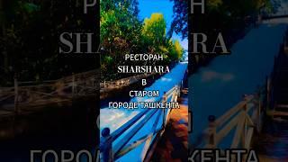 РЕСТОРАН SHARSHARA В СТАРОМ ТАШКЕНТЕ — КУЛИНАРНАЯ МАГИЯ У ВОДОПАДА! #едаташкент #viral #гастротур