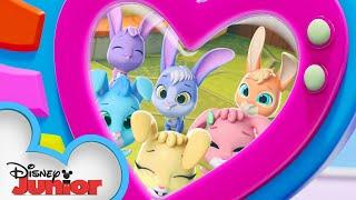 Bunny Bunch  | Calling All T.O.T.S. | T.O.T.S. | @disneyjr
