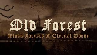 OLD FOREST “Wastelands of Dejection” streaming video