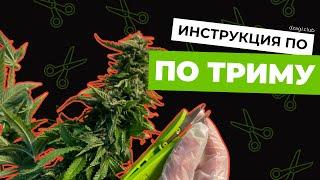 Инструкция по влажному триму