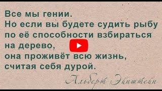 Великие "Бездари".