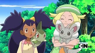 Minccino X Emolga AMV - The Lucky Twice Song