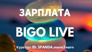 Заработная плата в BIGO LIVE. Сколько можно заработать и что для этого нужно? Куратор BIGO SPANDA