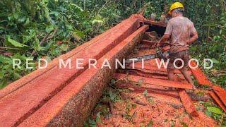 PENGERJAAN KAYU MATOA MENJADI PAPAN DAN BALOK // STIHL MS 382 & STIHL MS 070