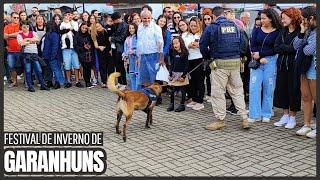 FESTIVAL DE INVERNO DE GARANHUNS 2024|APRESENTAÇÃO DE CÃES DA PRF  #garanhuns