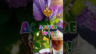 Доброе утро #музыкальныеоткрытки #доброеутро #новыйдень