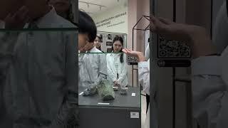 Мектеп мұражайына саяхат. 9а сыныбы